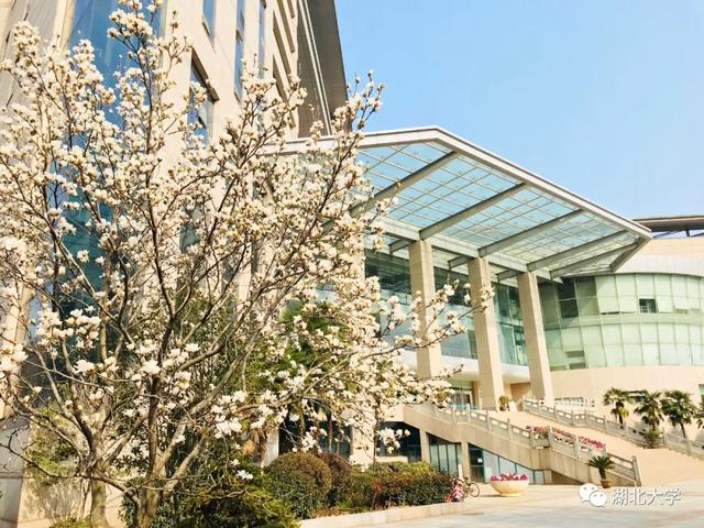 完美平台校长谢红星在学生班会上的特别寄语：热爱生活，珍爱生命